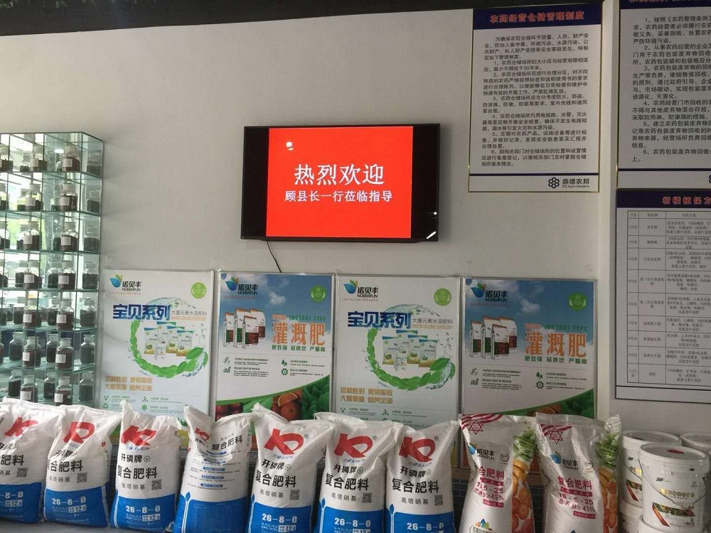 顾县长视察2.jpg