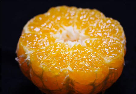 魏柑可能是这个季节最好吃的水果，90%的人都不知道