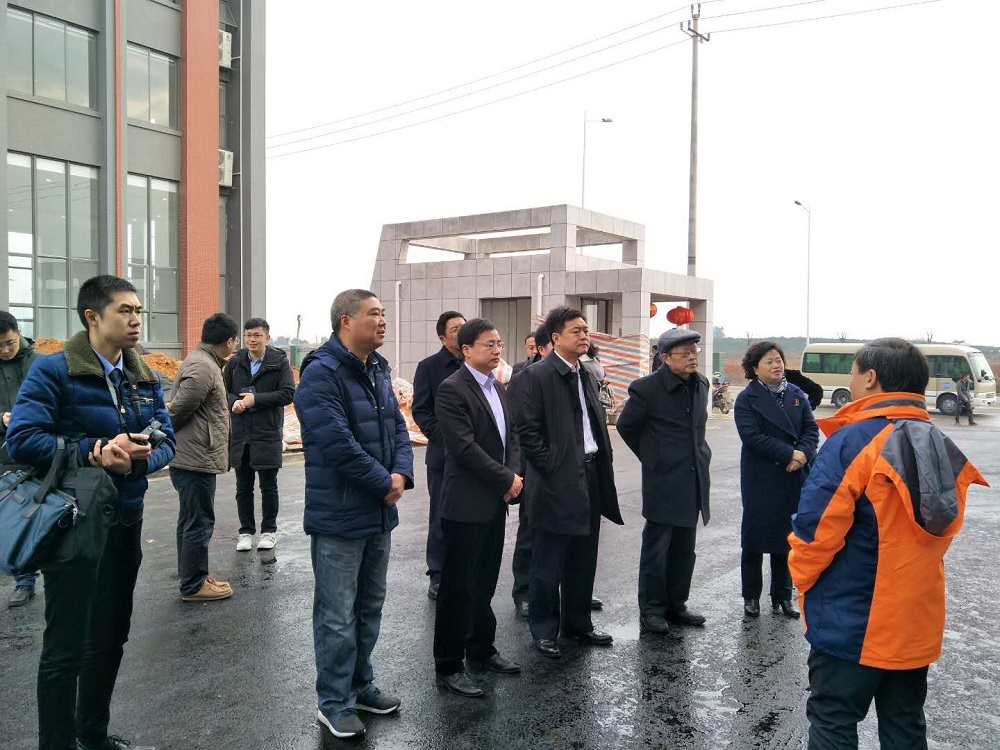 1月28日王影聪视察2.jpg 1月28日王影聪视察2.jpg