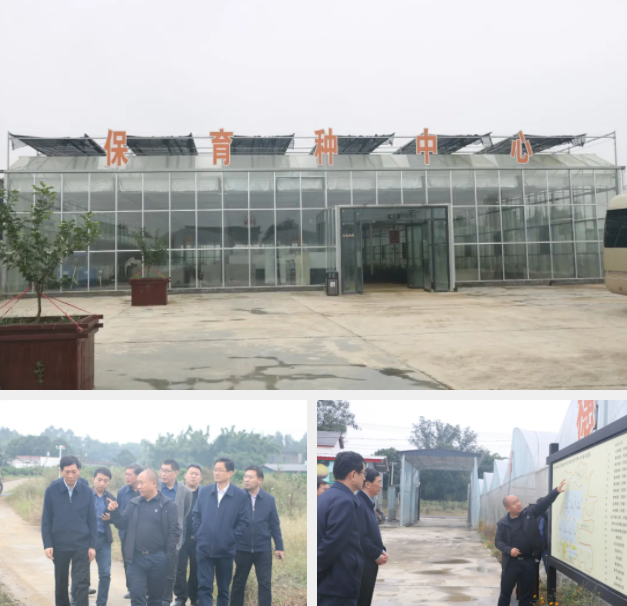 微信图片_20211019172915.png 微信图片_20211019172915.png